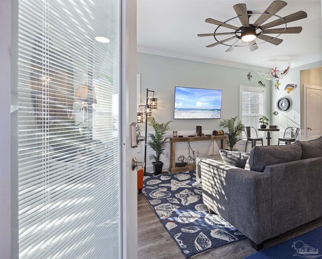 living room featuring ceiling fan, crown molding, and wood finished floors