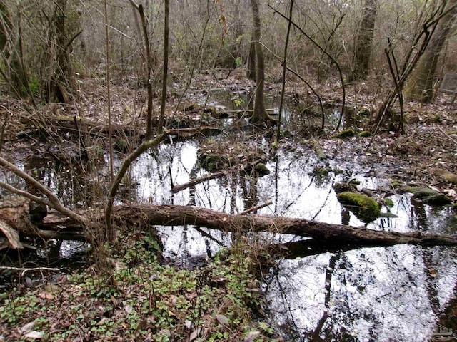 view of landscape featuring a water view