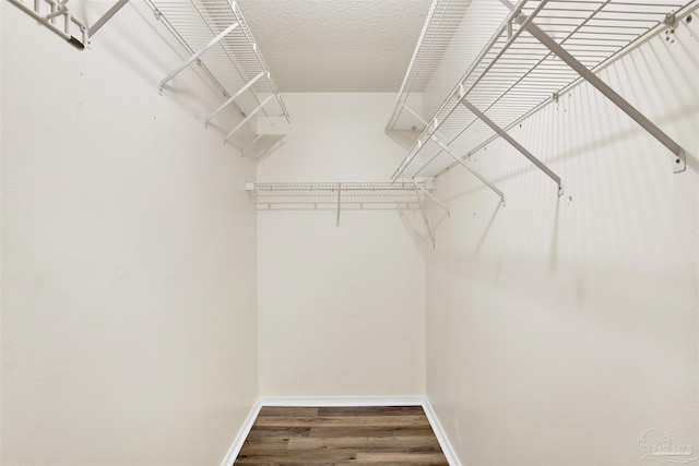 spacious closet featuring wood finished floors