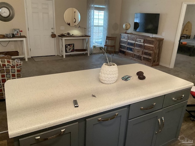 kitchen featuring gray cabinets, light countertops, and open floor plan