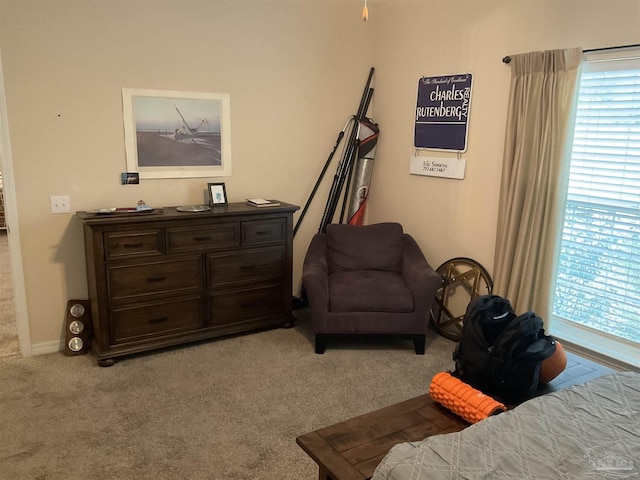 bedroom featuring light colored carpet and baseboards