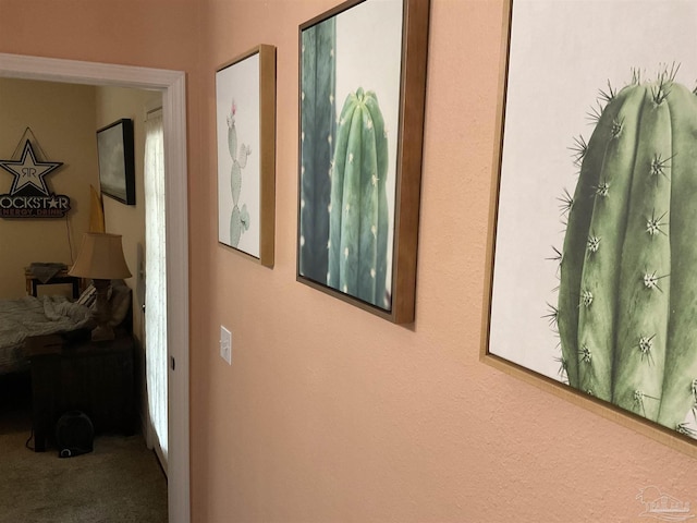 hallway with carpet floors