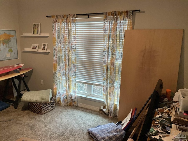 sitting room with carpet flooring