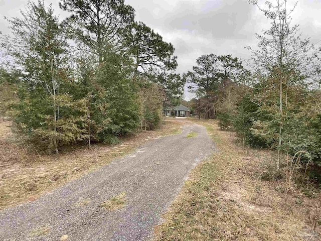 view of road with driveway