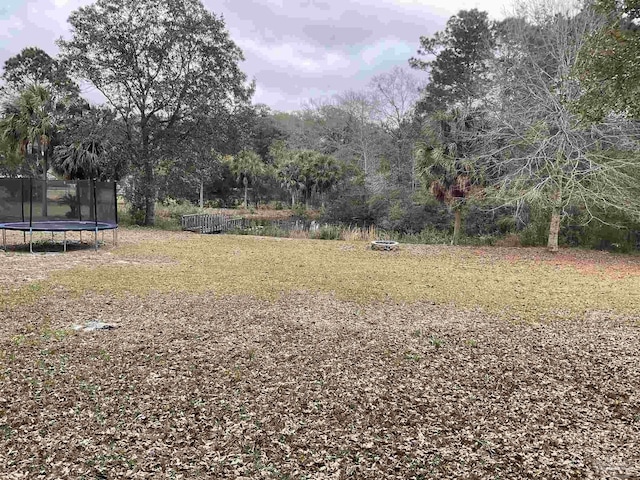 view of yard featuring a trampoline