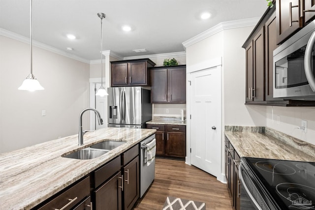 kitchen with dark brown cabinetry, stainless steel appliances, a sink, ornamental molding, and dark wood finished floors