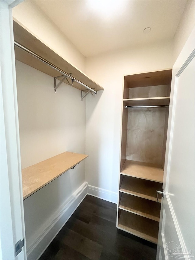 walk in closet with dark wood-style floors