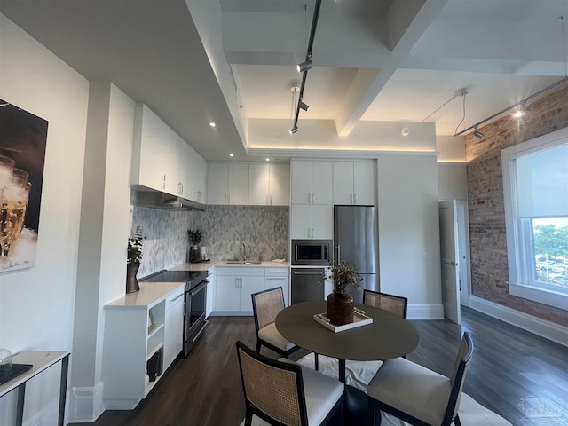 kitchen featuring dark wood-style floors, decorative backsplash, appliances with stainless steel finishes, a sink, and under cabinet range hood