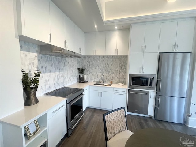 kitchen with under cabinet range hood, stainless steel appliances, a sink, light countertops, and backsplash