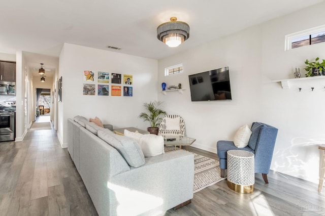 living room with wood-type flooring