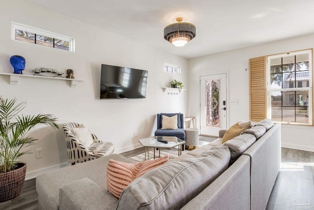 living room with a healthy amount of sunlight and wood-type flooring