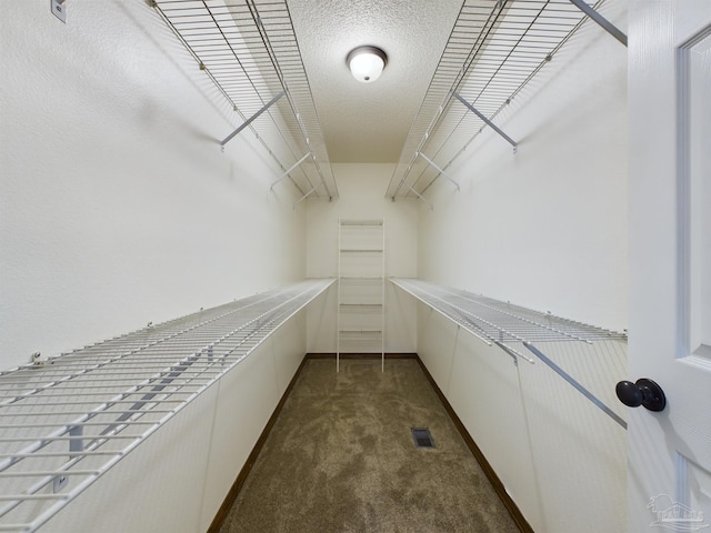 walk in closet with carpet