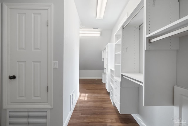 spacious closet featuring visible vents and dark wood-style floors