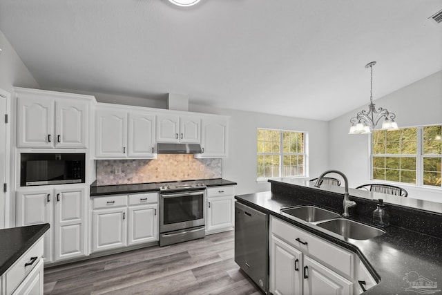 kitchen with dark countertops, under cabinet range hood, appliances with stainless steel finishes, and a sink