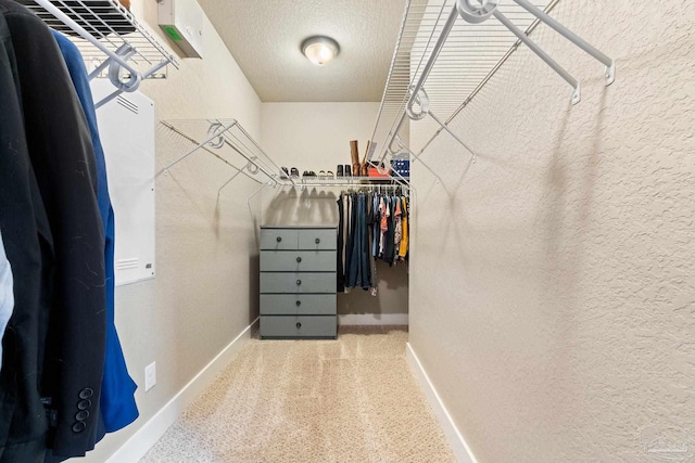 walk in closet with carpet