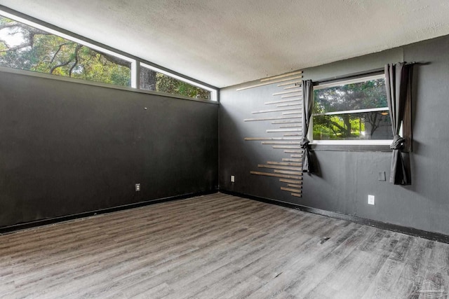 spare room featuring a wealth of natural light, vaulted ceiling, and hardwood / wood-style flooring