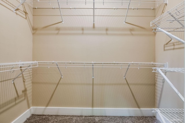 205 Webb St, Cantonment, FL 32533 - walk in closet featuring carpet flooring