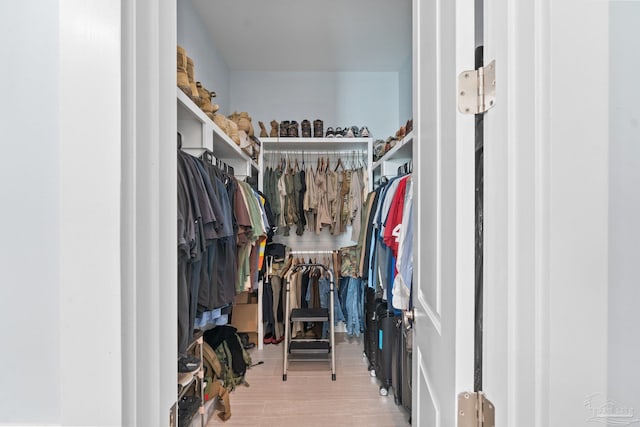 walk in closet with hardwood / wood-style flooring