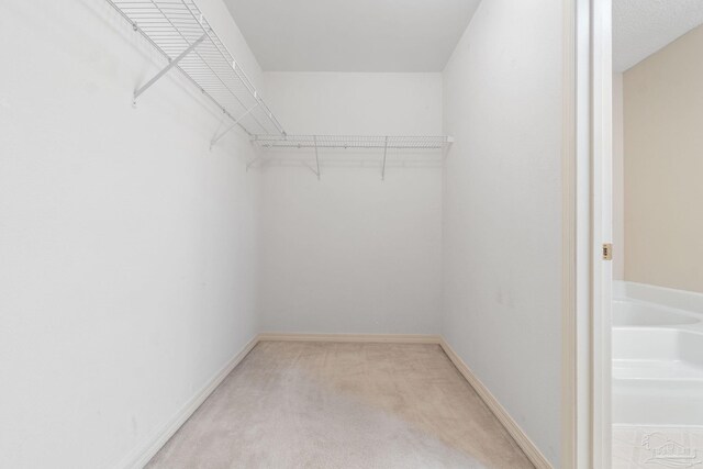 spacious closet featuring light carpet