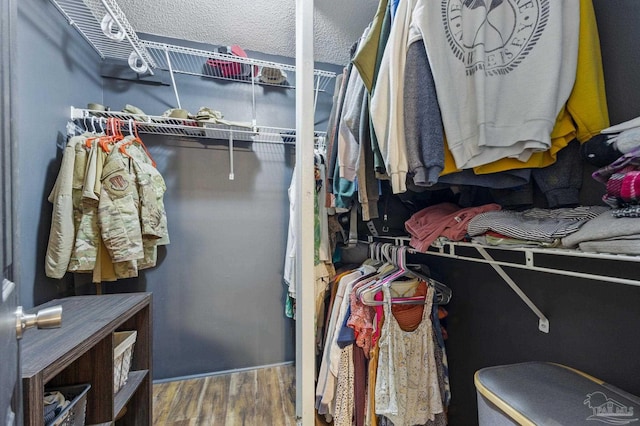 4793 Coronado Cir, Crestview, FL 32539 - spacious closet with wood finished floors