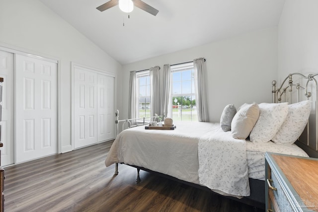 4793 Coronado Cir, Crestview, FL 32539 - bedroom with lofted ceiling, wood finished floors, multiple closets, and a ceiling fan