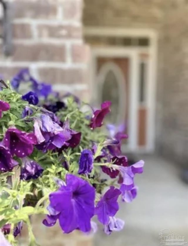 view of details