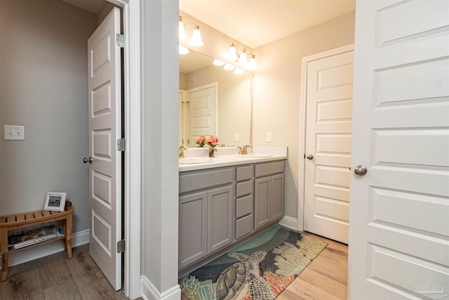 bathroom with wood-type flooring and vanity