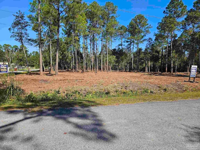 Listing photo 3 for Wildwood Dr, Milton FL 32570