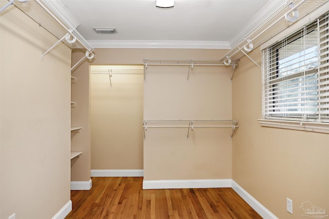 walk in closet with hardwood / wood-style flooring