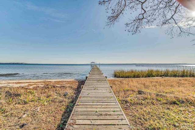 dock area with a water view