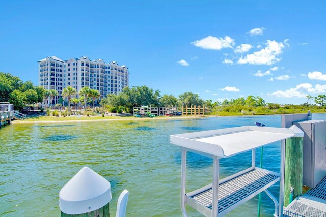 dock area with a water view