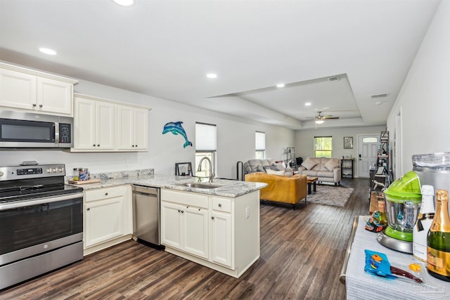 kitchen with sink, dark hardwood / wood-style floors, a tray ceiling, kitchen peninsula, and stainless steel appliances