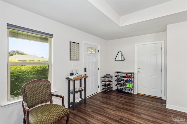 sitting room with dark hardwood / wood-style flooring