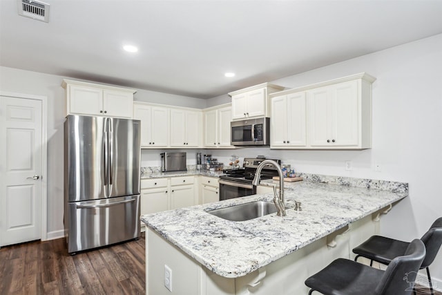 kitchen with appliances with stainless steel finishes, dark hardwood / wood-style floors, sink, and kitchen peninsula