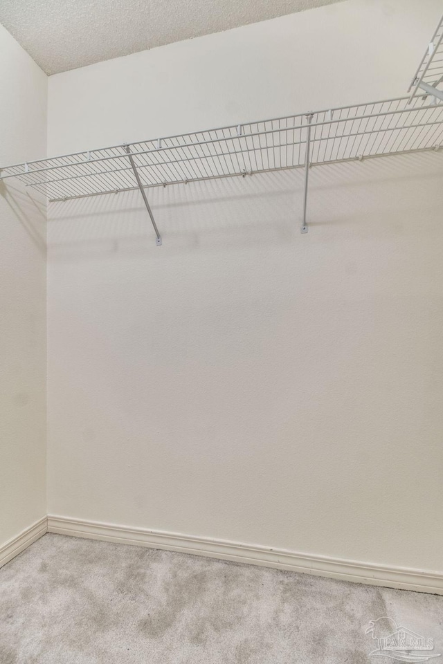 3086 Myrshine Dr, Pensacola, FL 32506 - walk in closet featuring light colored carpet
