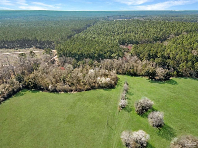 4343 E Plympton Rd, Laurel Hill, FL 32567