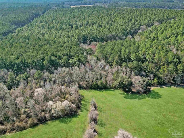 4343 E Plympton Rd, Laurel Hill, FL 32567