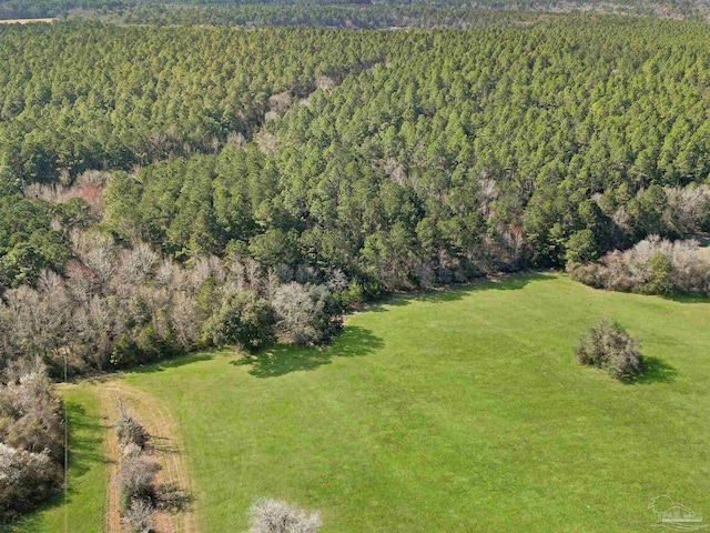 4343 E Plympton Rd, Laurel Hill, FL 32567