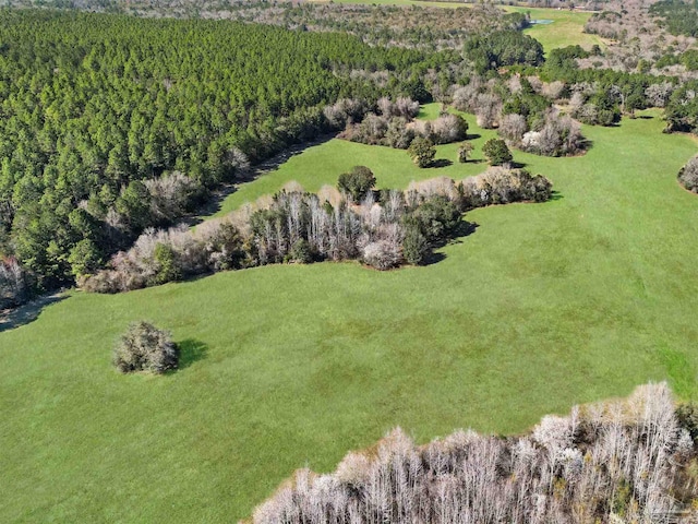 4343 E Plympton Rd, Laurel Hill, FL 32567