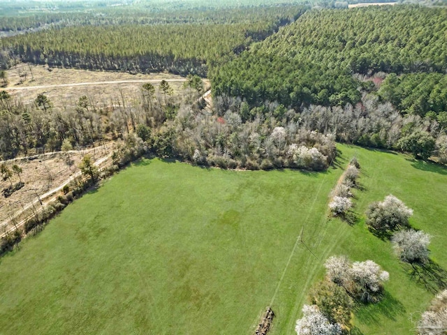 4343 E Plympton Rd, Laurel Hill, FL 32567