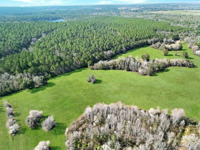 4343 E Plympton Rd, Laurel Hill, FL 32567