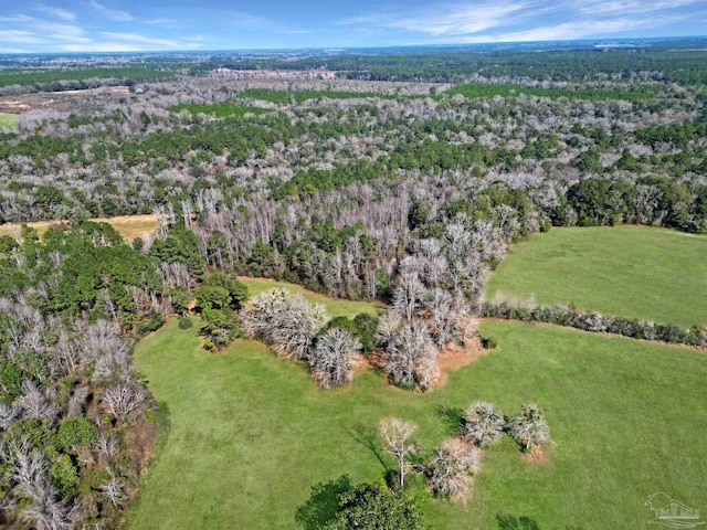 4343 E Plympton Rd, Laurel Hill, FL 32567