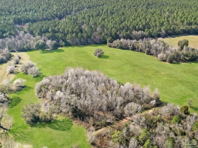 4343 E Plympton Rd, Laurel Hill, FL 32567