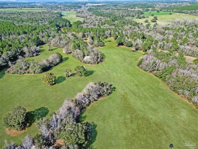4343 E Plympton Rd, Laurel Hill, FL 32567