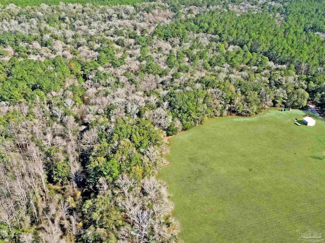 4343 E Plympton Rd, Laurel Hill, FL 32567