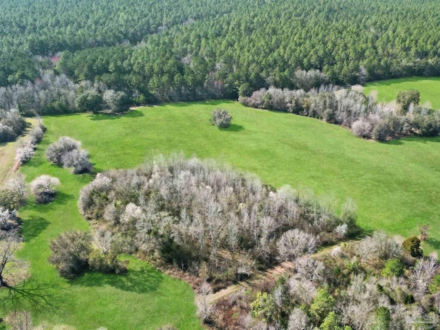4343 E Plympton Rd, Laurel Hill, FL 32567