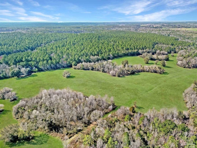 4343 E Plympton Rd, Laurel Hill, FL 32567