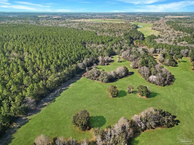 4343 E Plympton Rd, Laurel Hill, FL 32567