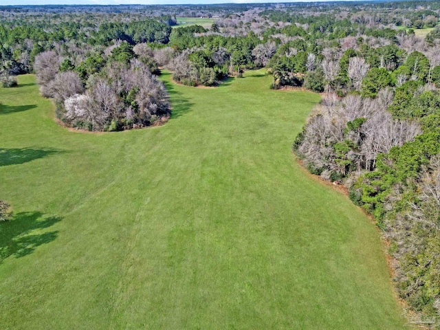 4343 E Plympton Rd, Laurel Hill, FL 32567