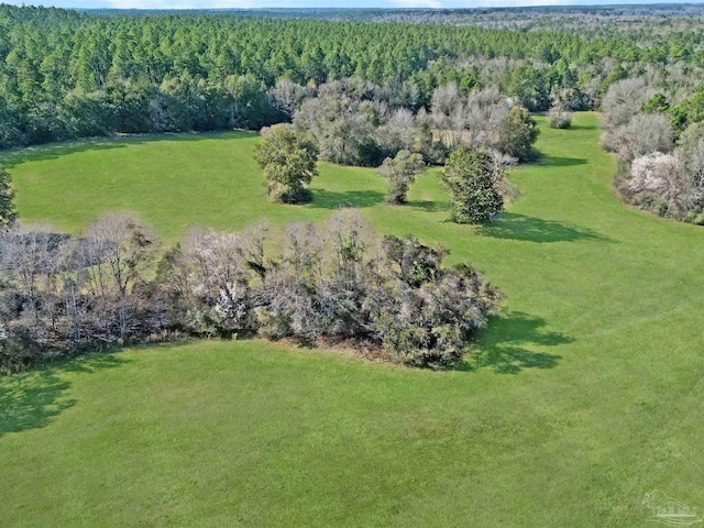 4343 E Plympton Rd, Laurel Hill, FL 32567